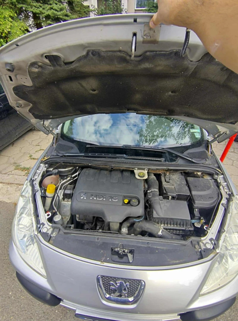 Peugeot 307 2.0hdi 136 и 1.6 hdi 109кс, снимка 3 - Автомобили и джипове - 52918081