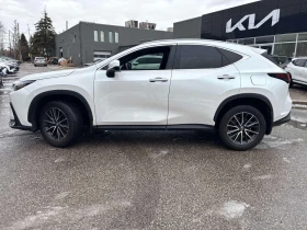 Lexus NX 350/CARFAX/ШИБИДАХ/ОБДУХВАНЕ, снимка 3