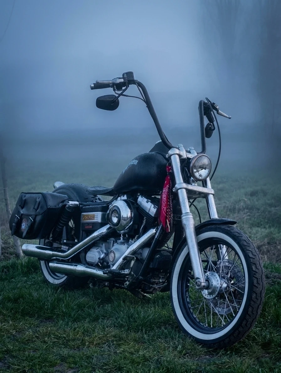 Harley-Davidson Dyna FXDB Street Bob