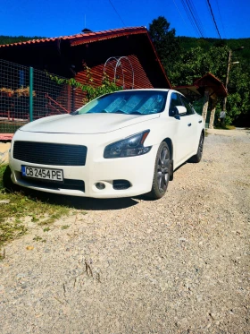 Обява за продажба на Nissan Maxima 3.5 ~19 000 лв. - изображение 1