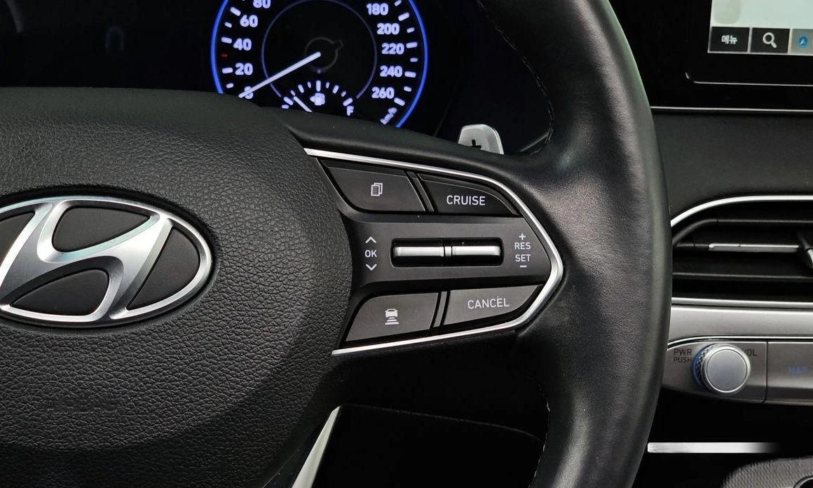 Hyundai Palisade Diesel 2.2 2WD Prestige | Mobile.bg   14