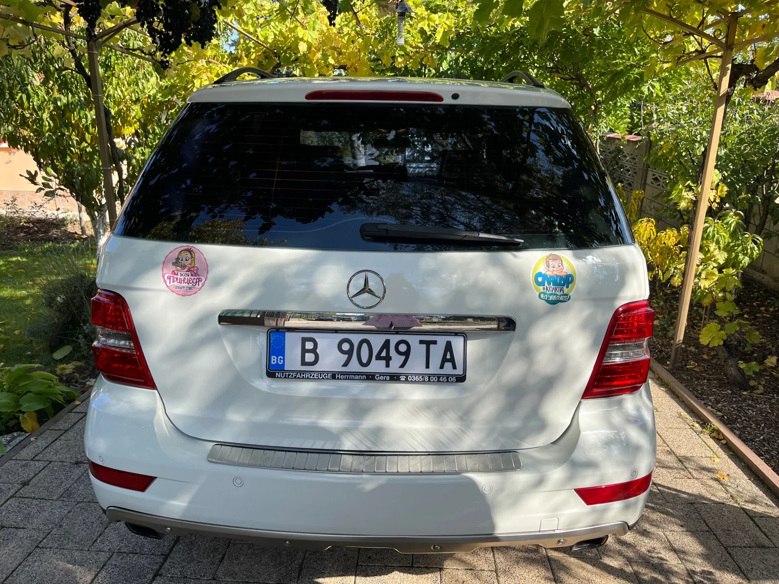 Mercedes-Benz ML 320  - изображение 4