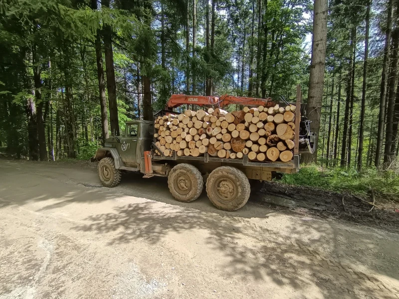 Zil 131 Мерцедес 817, снимка 4 - Камиони - 52497004