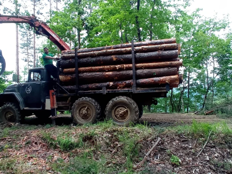 Zil 131 Мерцедес 817, снимка 14 - Камиони - 52497004