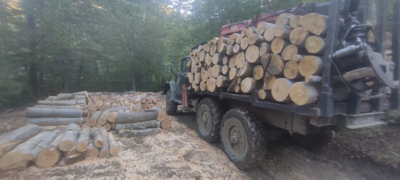 Zil 131 Мерцедес 817, снимка 7 - Камиони - 52497004