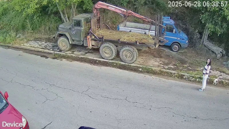 Zil 131 Мерцедес 817, снимка 3 - Камиони - 52497004