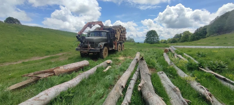 Zil 131 Мерцедес 817, снимка 15 - Камиони - 52497004
