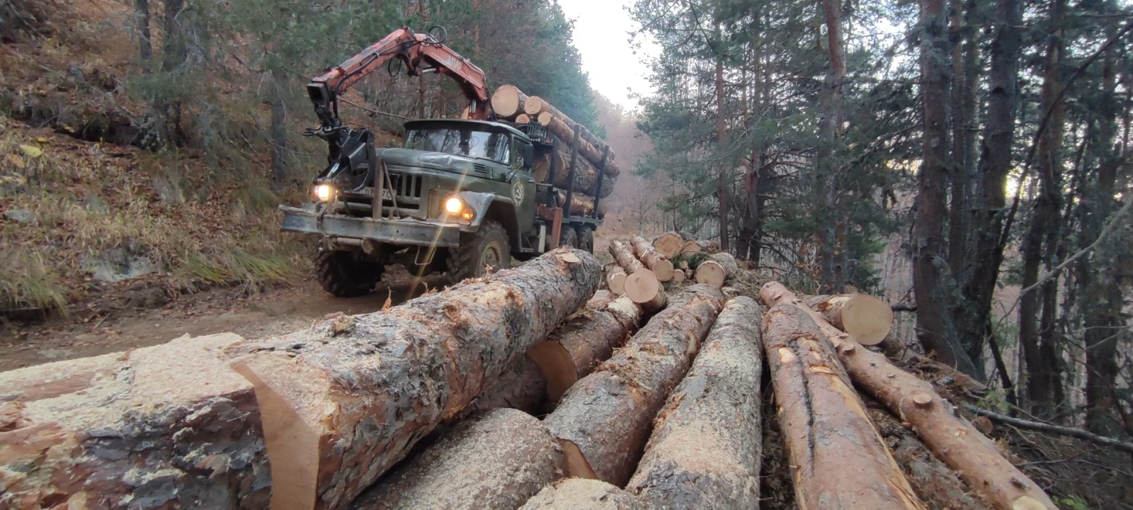 Zil 131  817 | Mobile.bg   12