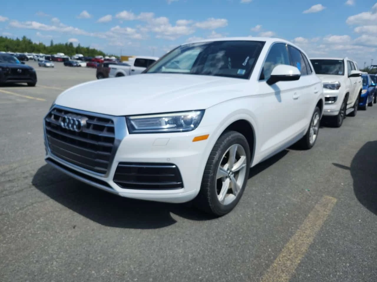 Audi Q5 Progressiv/CARFAX/Панорама/Памет/Подгрев/
