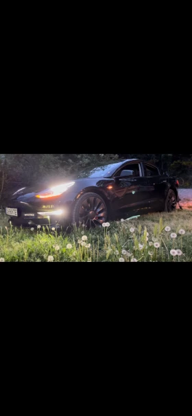 Tesla Model 3 Tesla Model 3 Performance | Mobile.bg    3