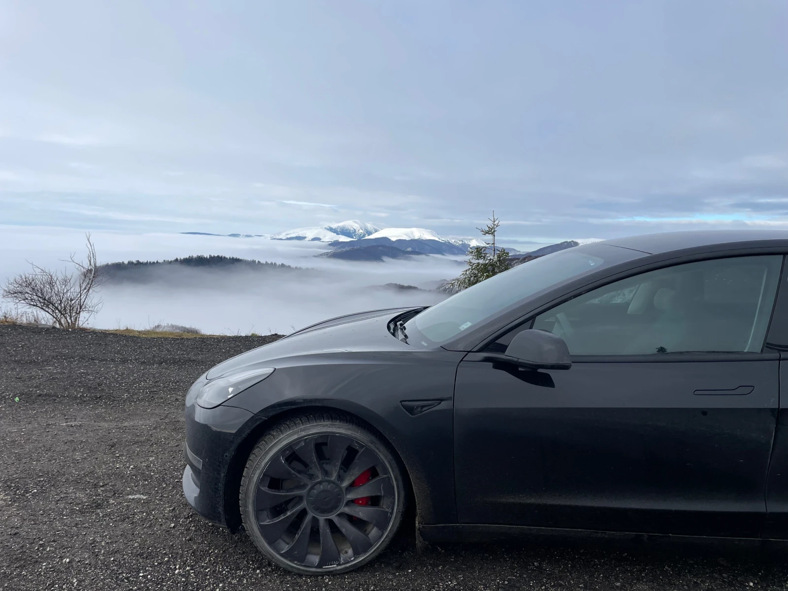 Tesla Model 3 Tesla Model 3 Performance - изображение 5