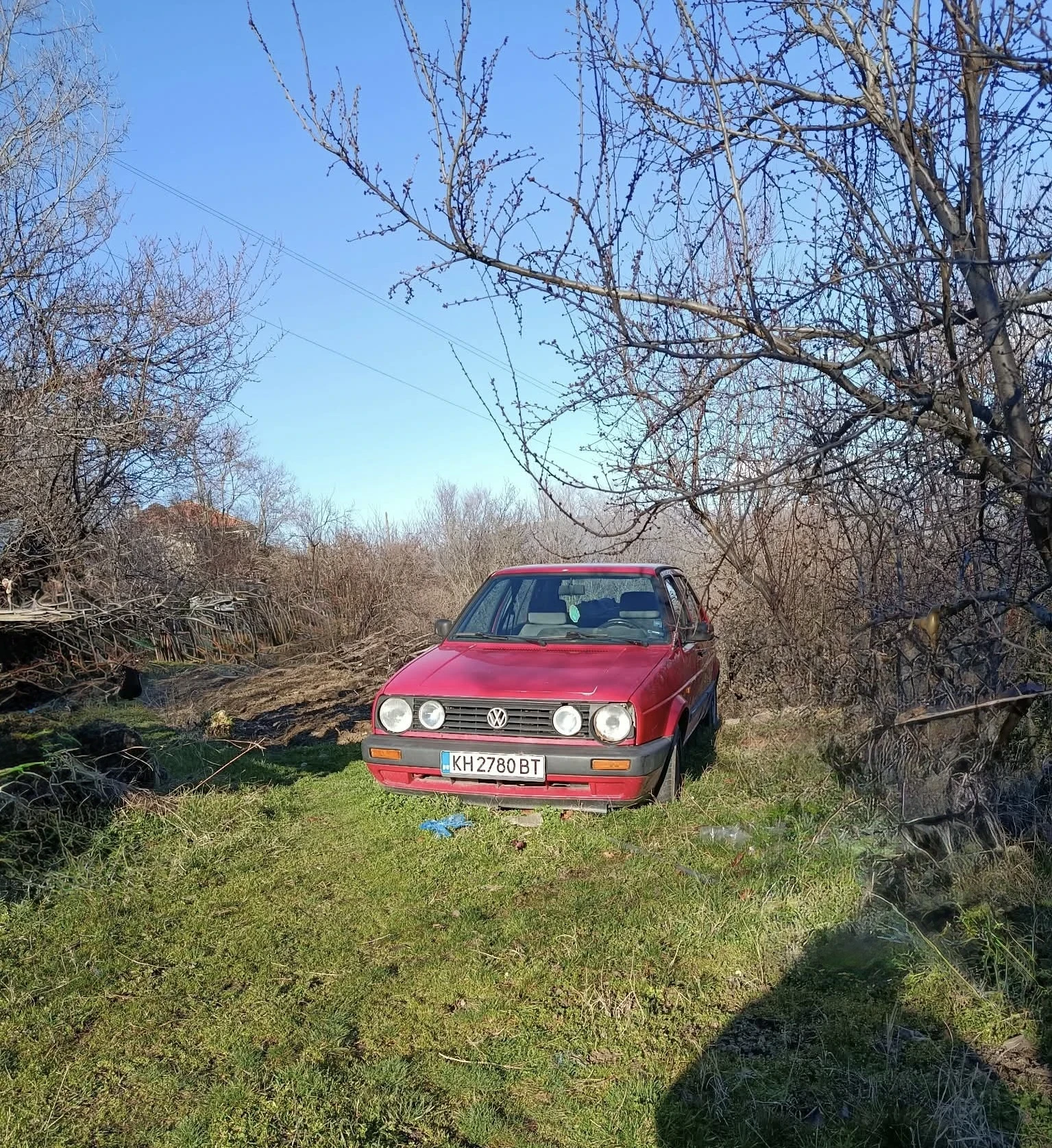 VW Golf