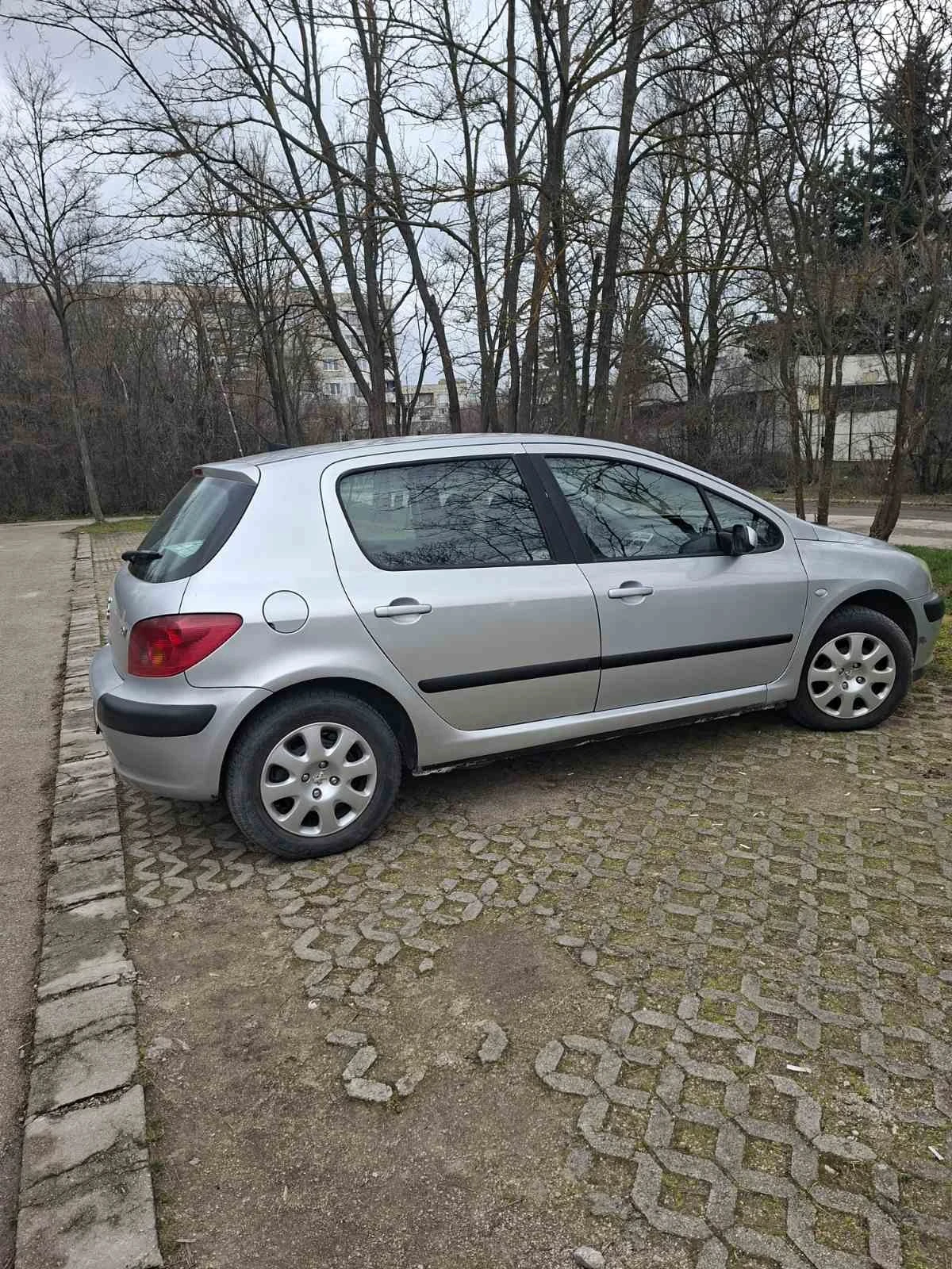 Peugeot 307, снимка 9 - Автомобили и джипове - 54000572