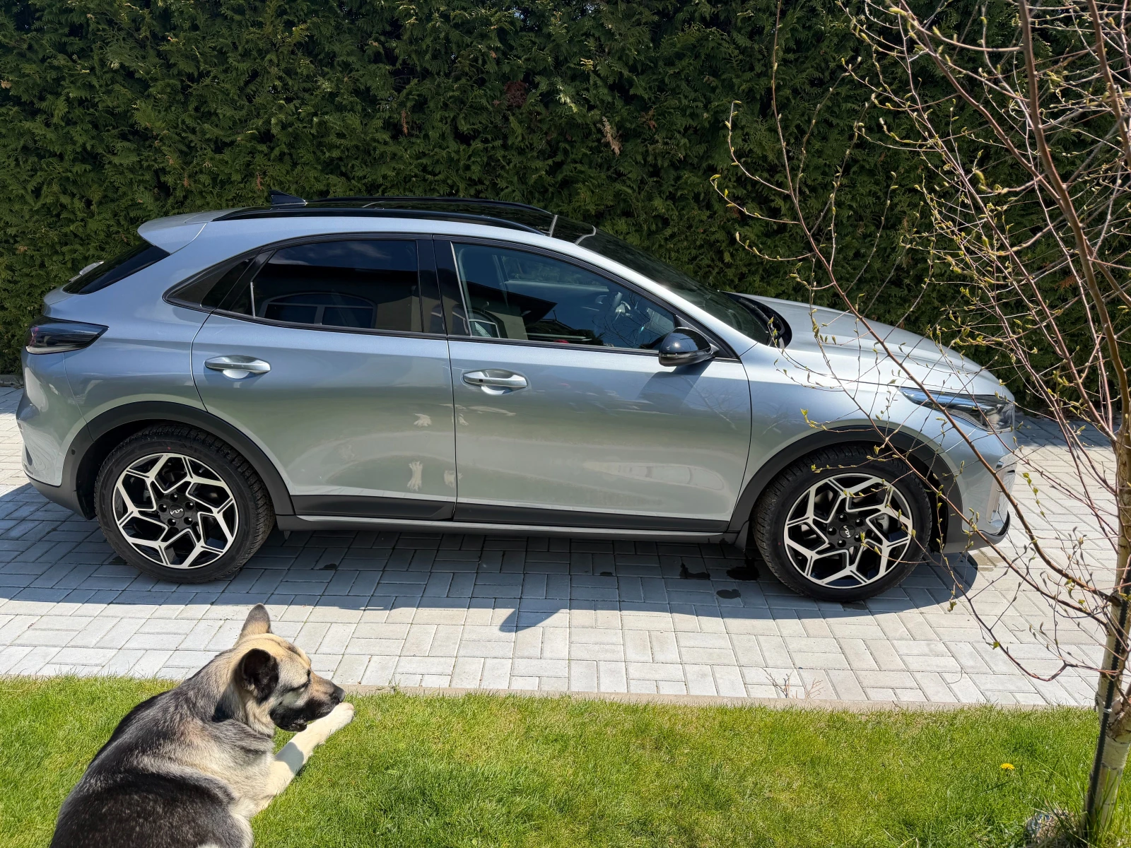 Kia XCeed GT 1.6-204 ��. | Mobile.bg � ����������� 2