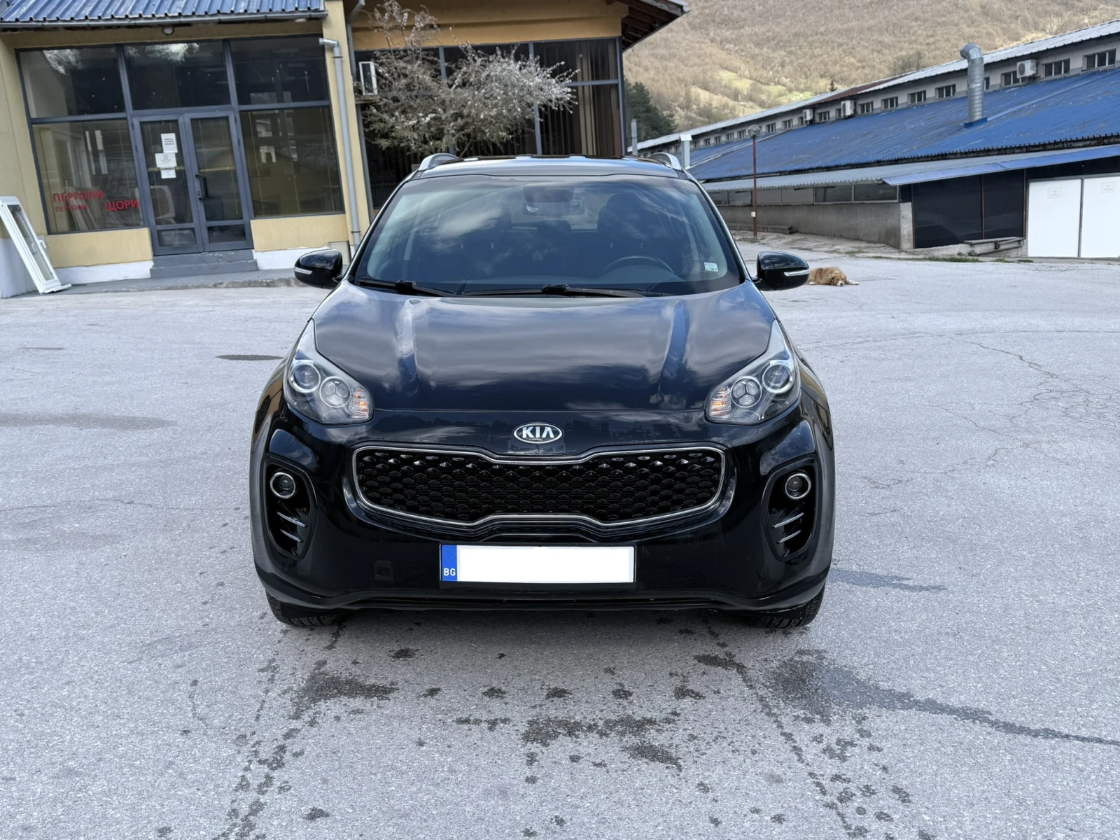 Kia Sportage
