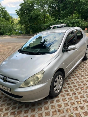  Peugeot 307