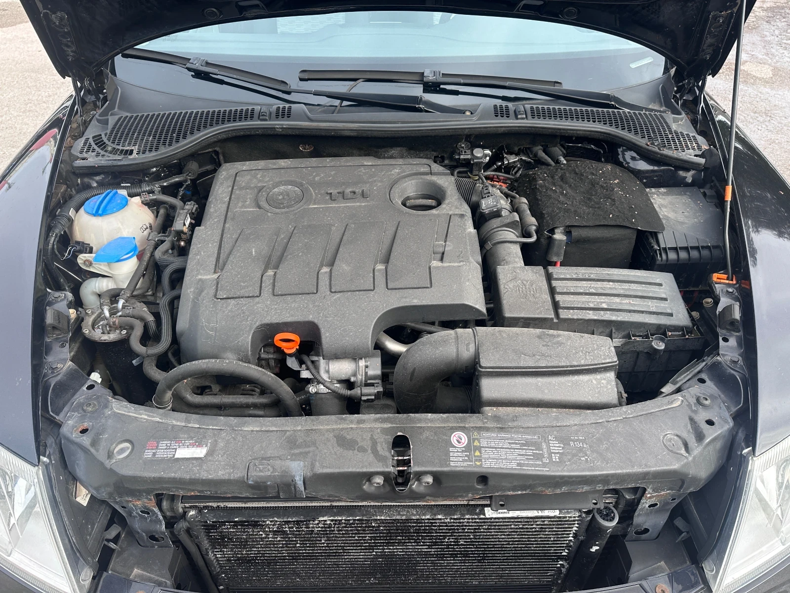 Skoda Octavia 4X4 1.6TDI - ������ ��������� | Mobile.bg � ����������� 16