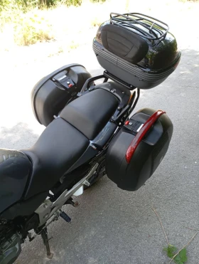 Honda Hornet  2. | Mobile.bg    15