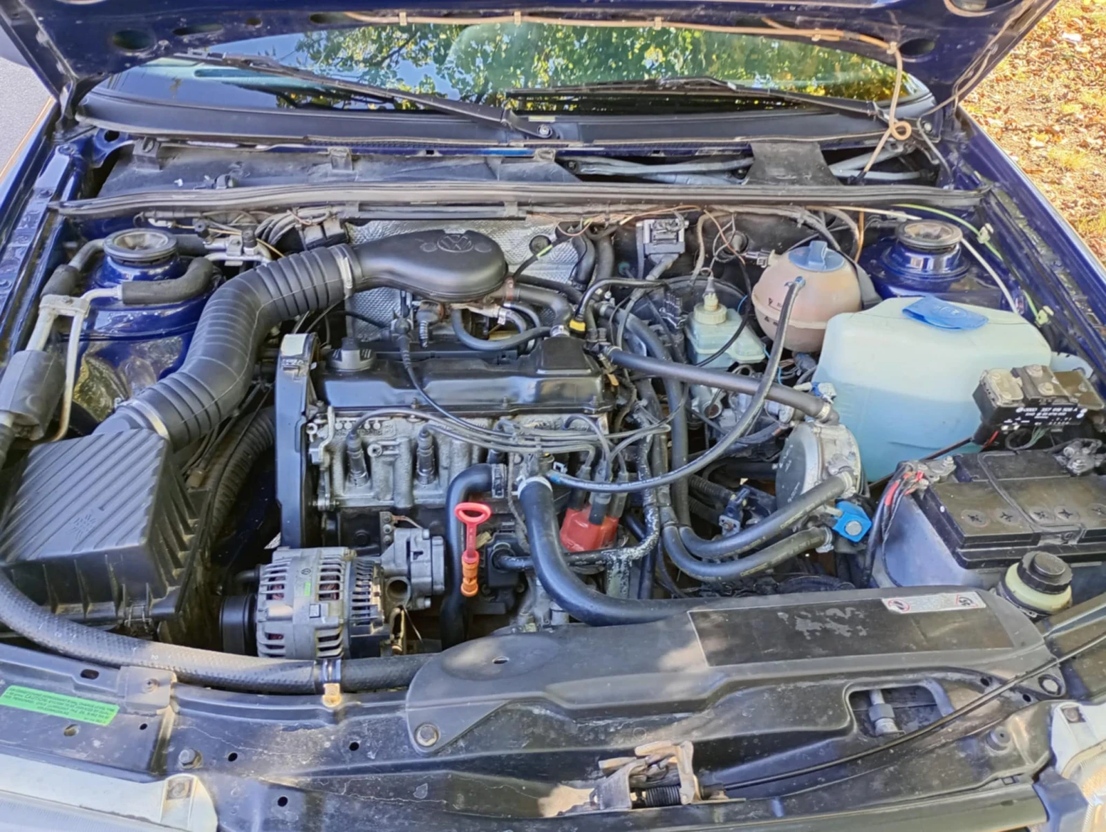 VW Passat  Бензин/Газ - изображение 3