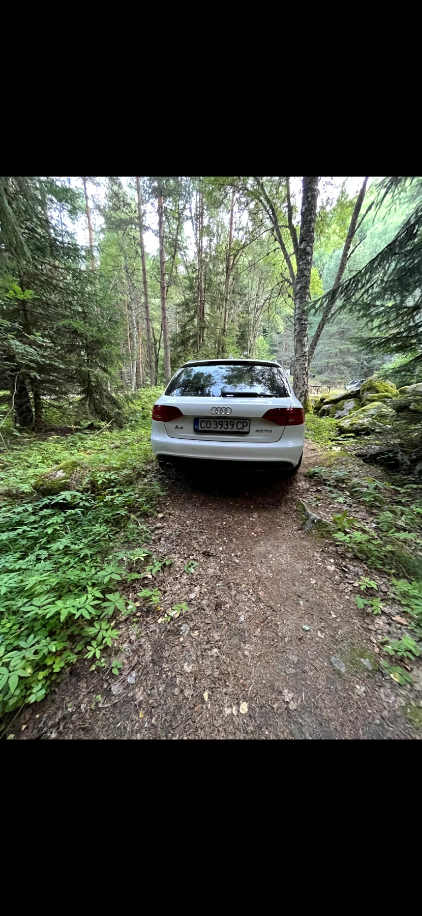 Audi A4, снимка 3 - Автомобили и джипове - 55122219