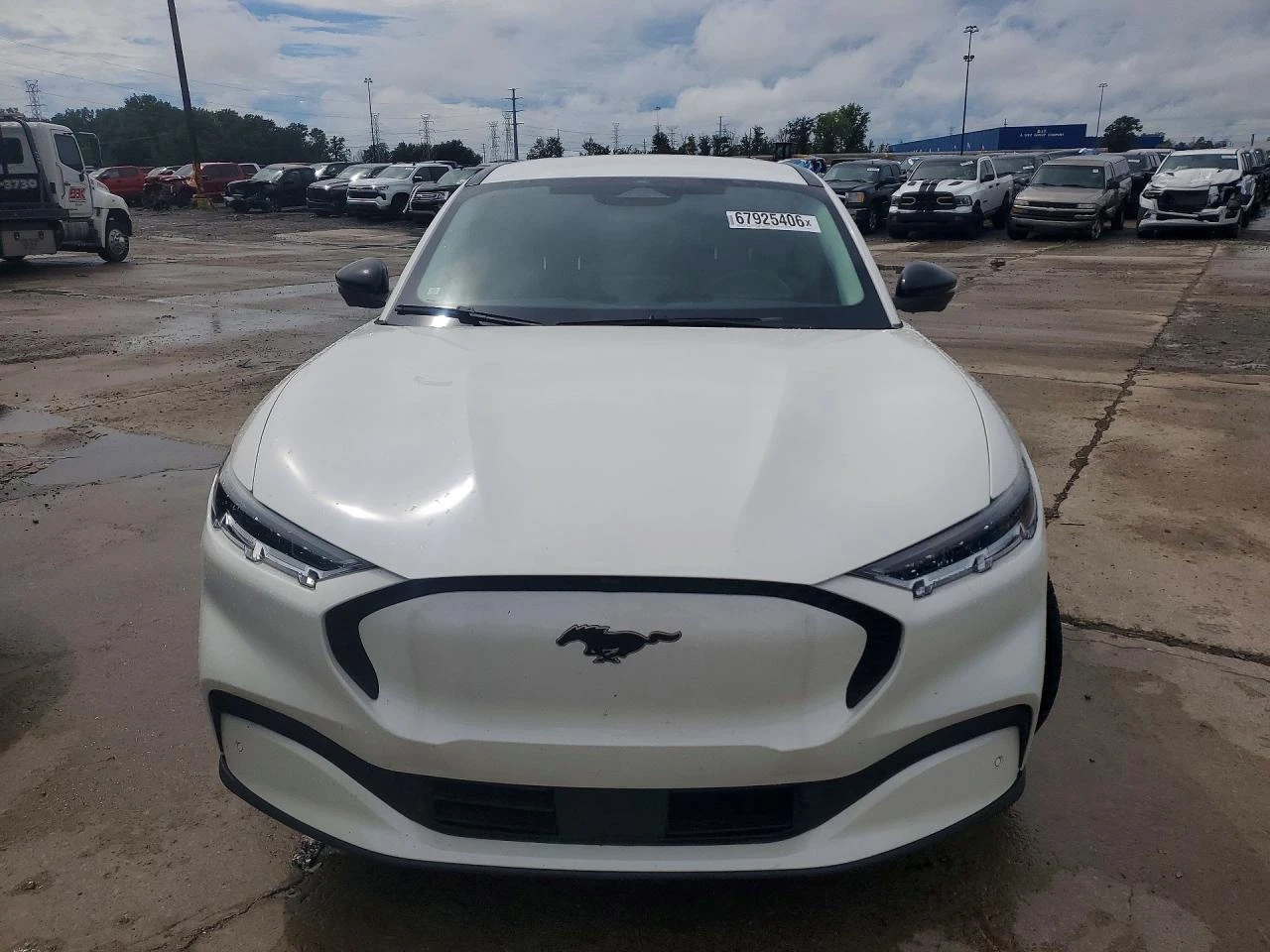 Ford Mustang Mach-E Select | Mobile.bg � ����������� 5