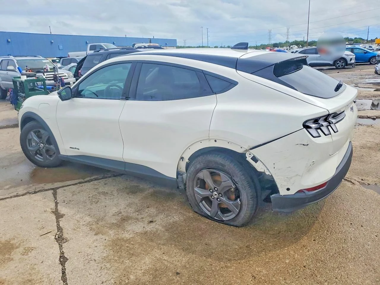 Ford Mustang Mach-E Select | Mobile.bg � ����������� 2