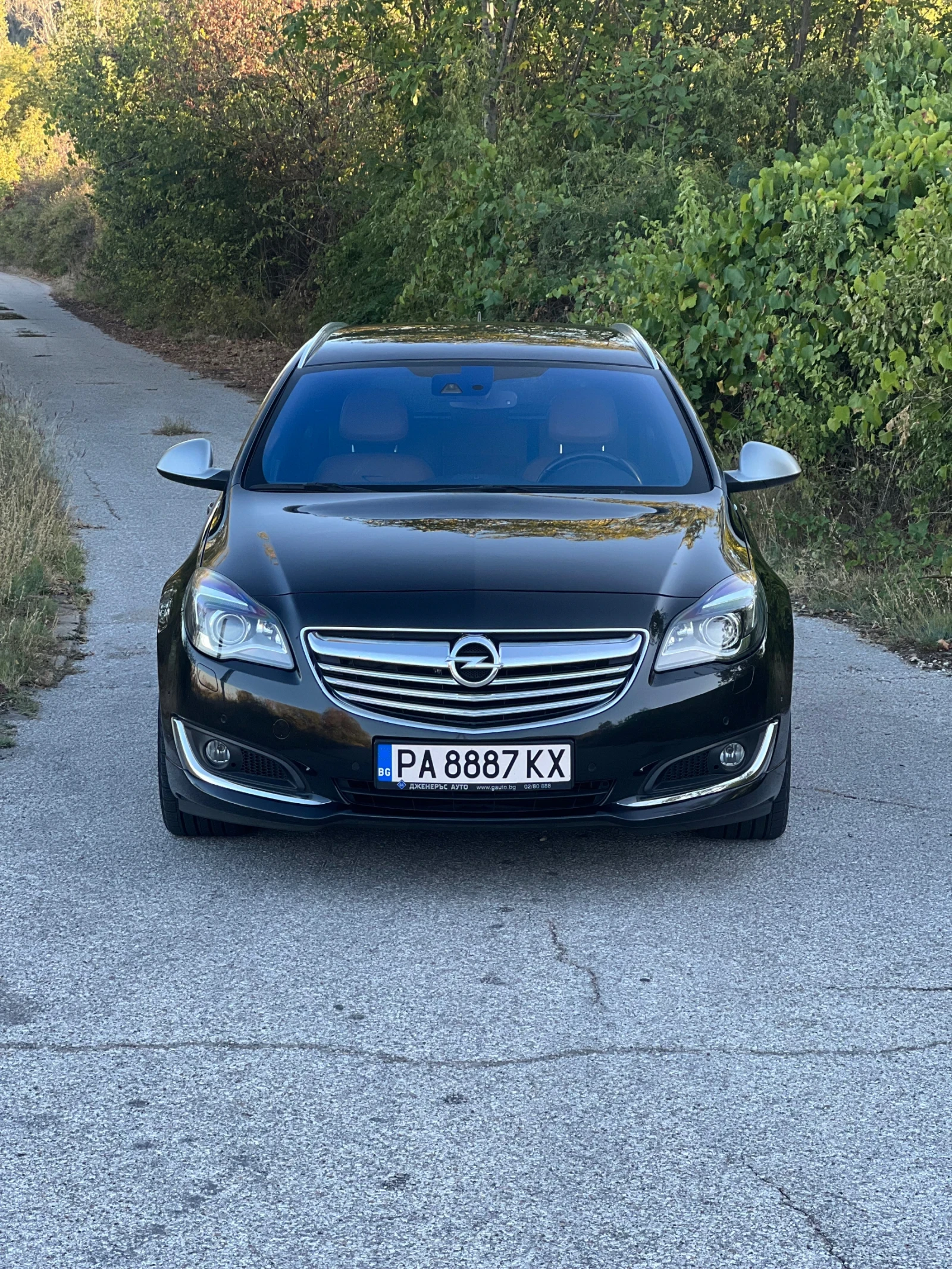 Opel Insignia 2.0 Turbo Sports-Tourer, снимка 1