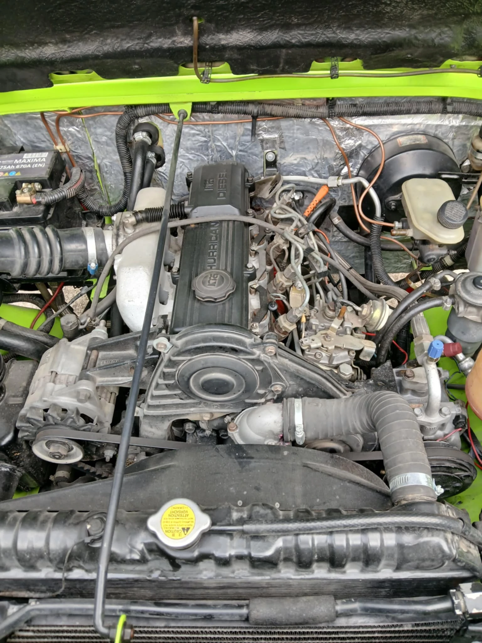 Asia Rocsta  - изображение 5