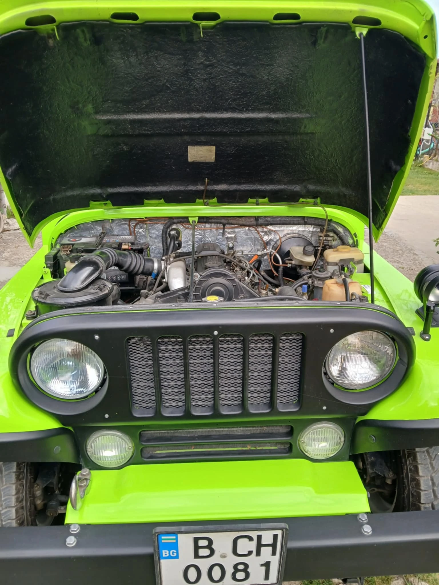 Asia Rocsta  - изображение 4