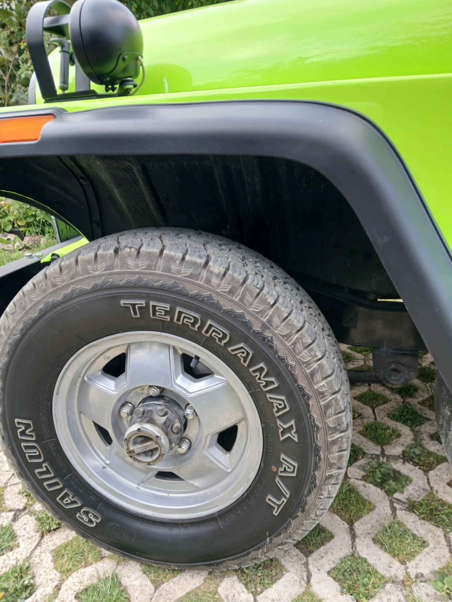 Asia Rocsta  - изображение 6