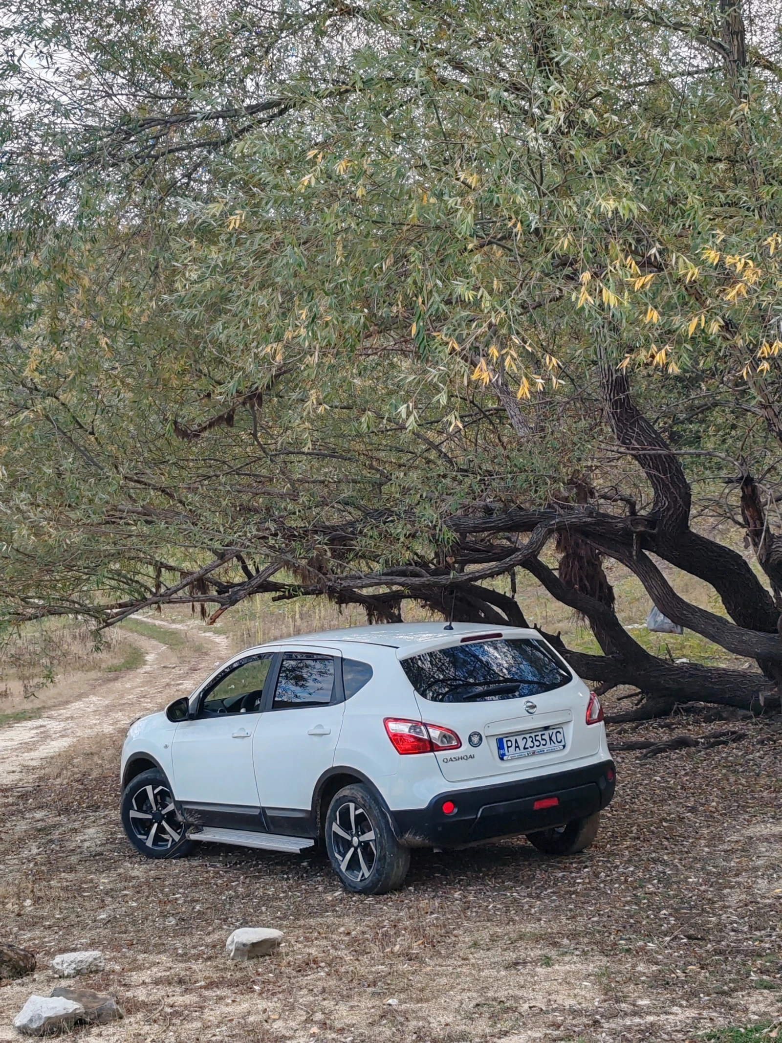 Nissan Qashqai  - изображение 3