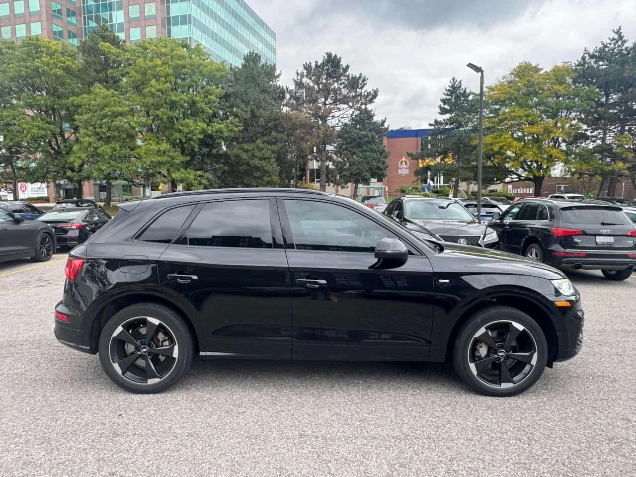 Audi Q5 Technik  CARFAX, снимка 3 - Автомобили и джипове - 56337555