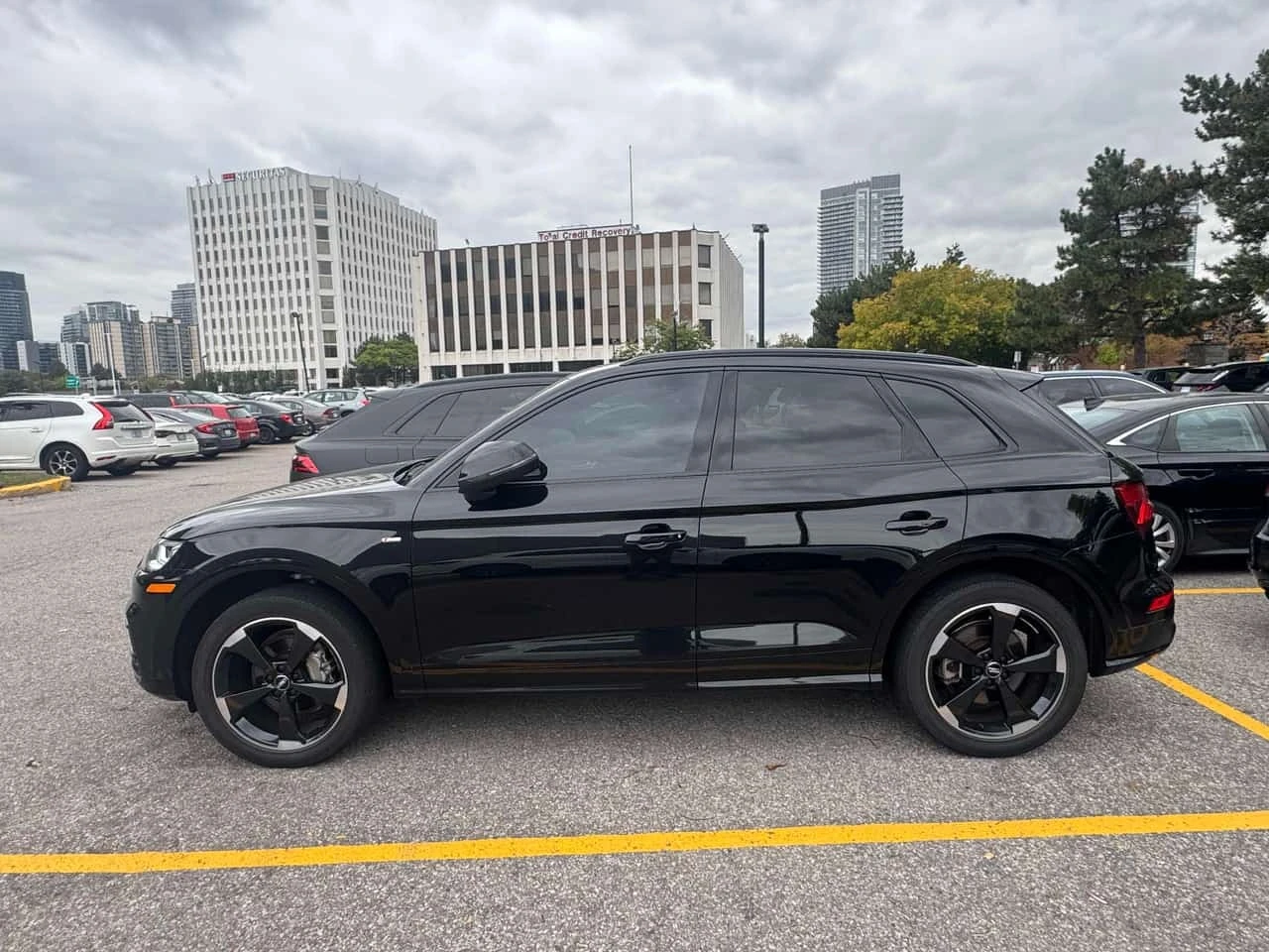 Audi Q5 Technik  CARFAX, снимка 7 - Автомобили и джипове - 56337555