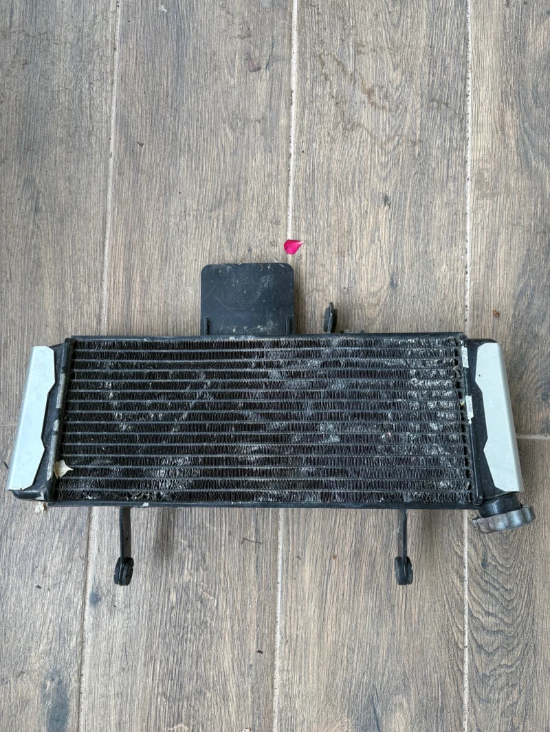 Suzuki SV, снимка 15 - Мотоциклети и мототехника - 52284241