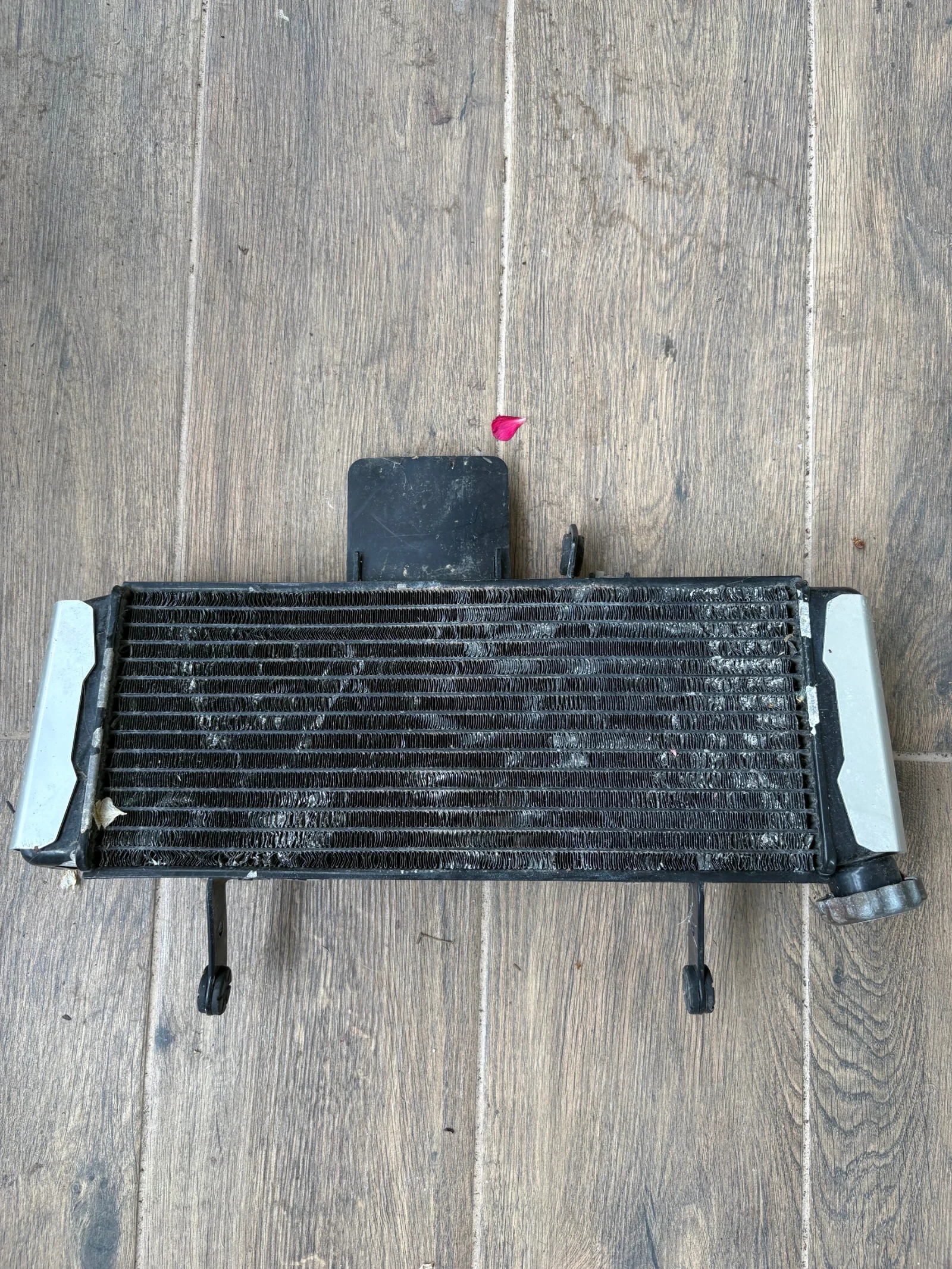 Suzuki SV | Mobile.bg   15