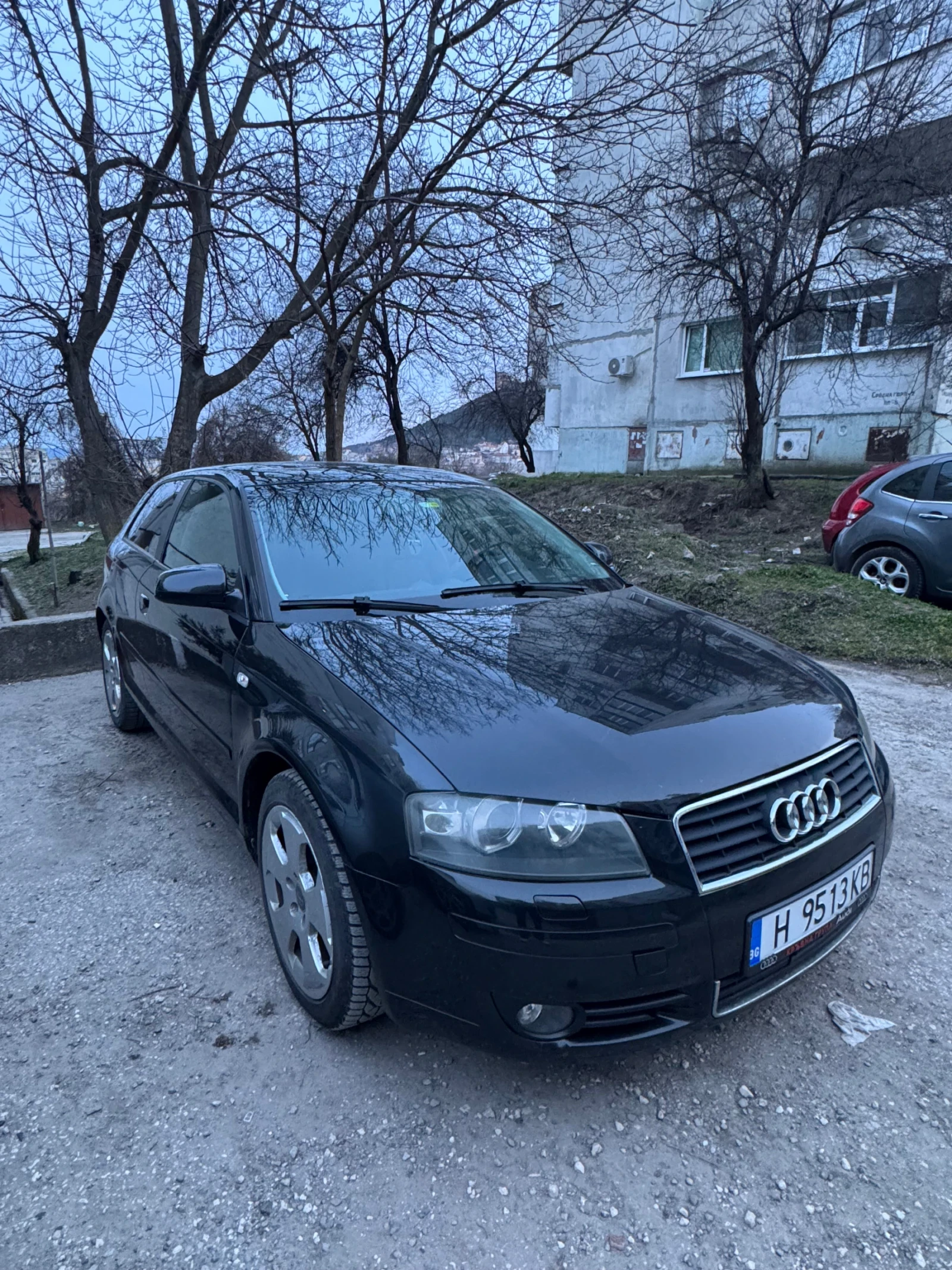 Audi A3 1.9 TDI, снимка 3 - Автомобили и джипове - 53759350