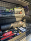 Обява за продажба на Mitsubishi Pajero pinin Повдигнат 4x4 Full time Gas/Бензин ~11 400 лв. - изображение 10
