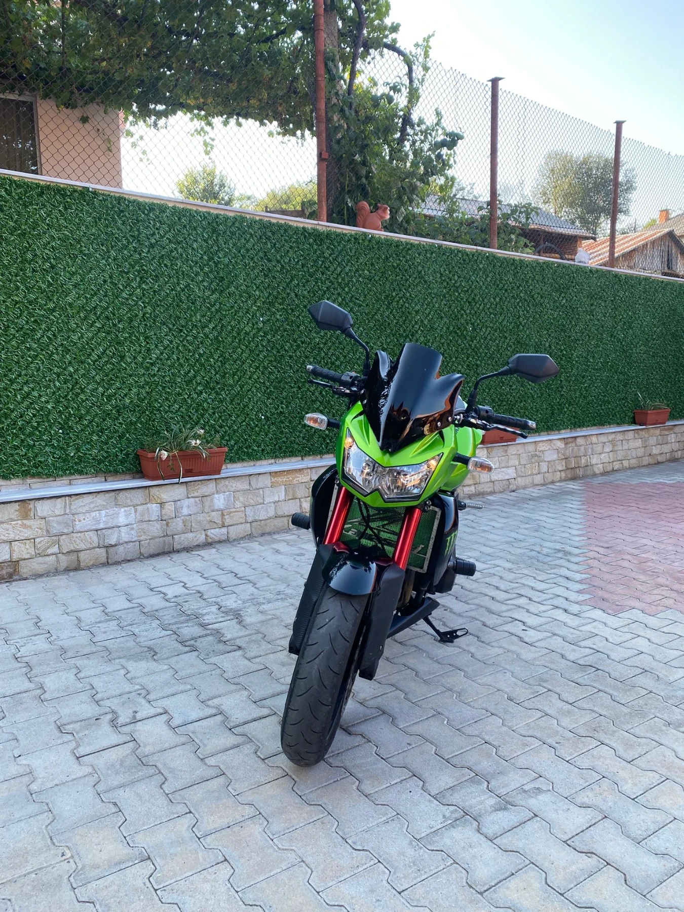 Kawasaki Z 750 - изображение 2