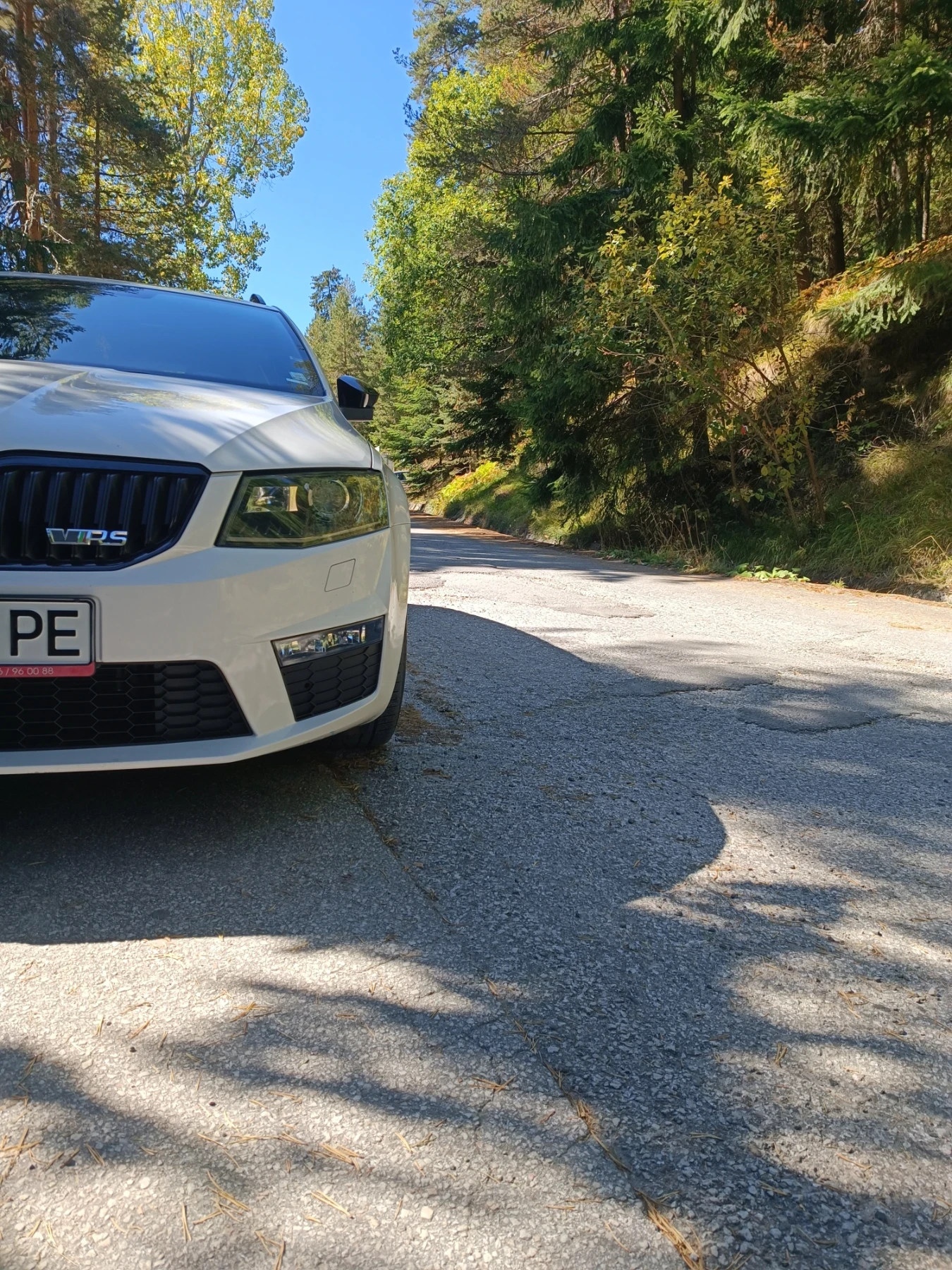 Skoda Octavia VRS 184 2.0 TDI | Mobile.bg   9