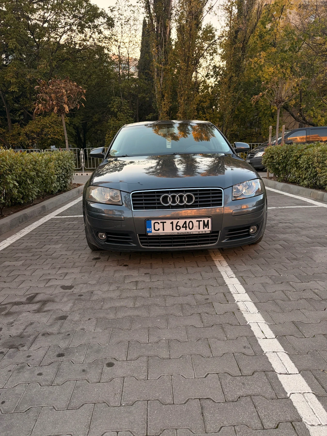 Audi A3 2.0 TDI | Mobile.bg   7