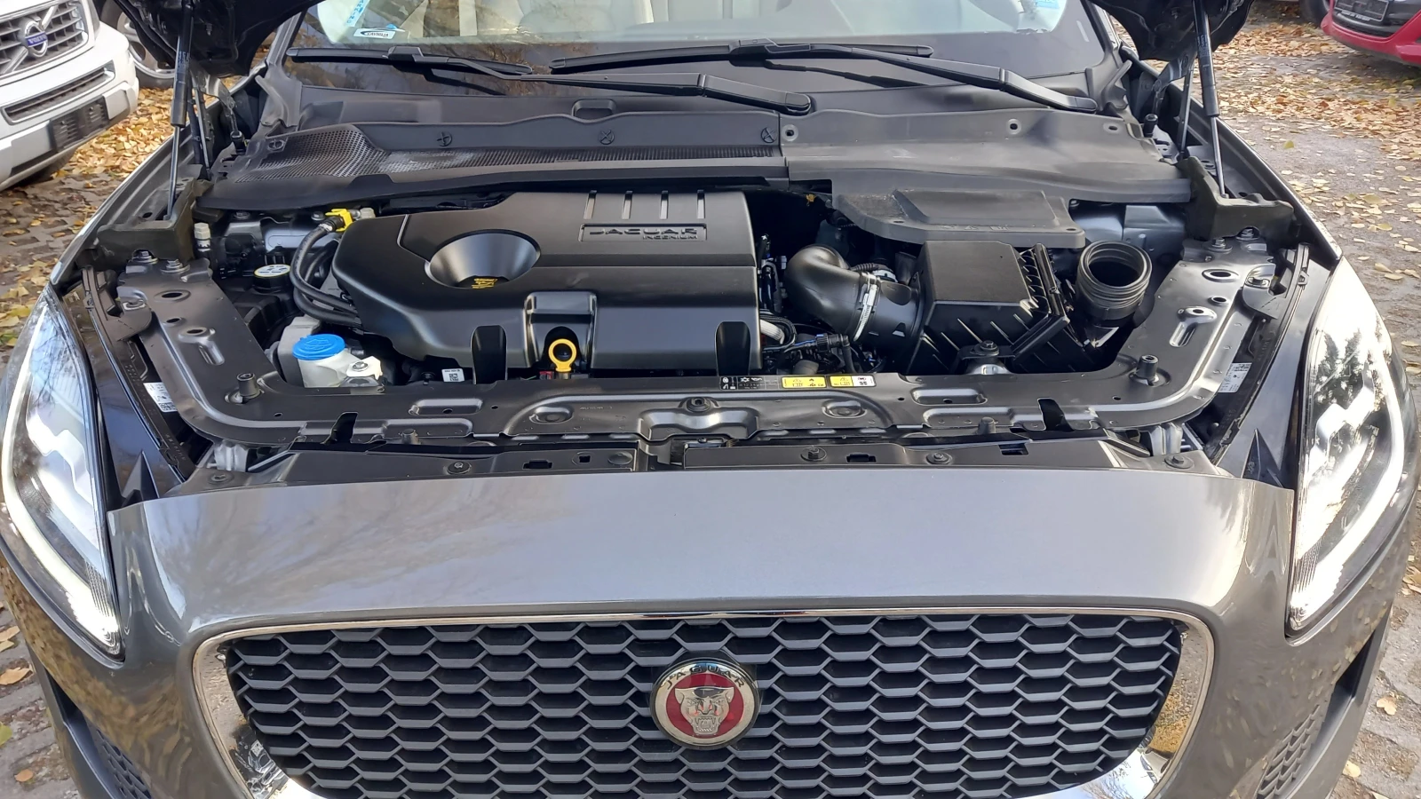 Jaguar E-pace FULL 44      | Mobile.bg   17