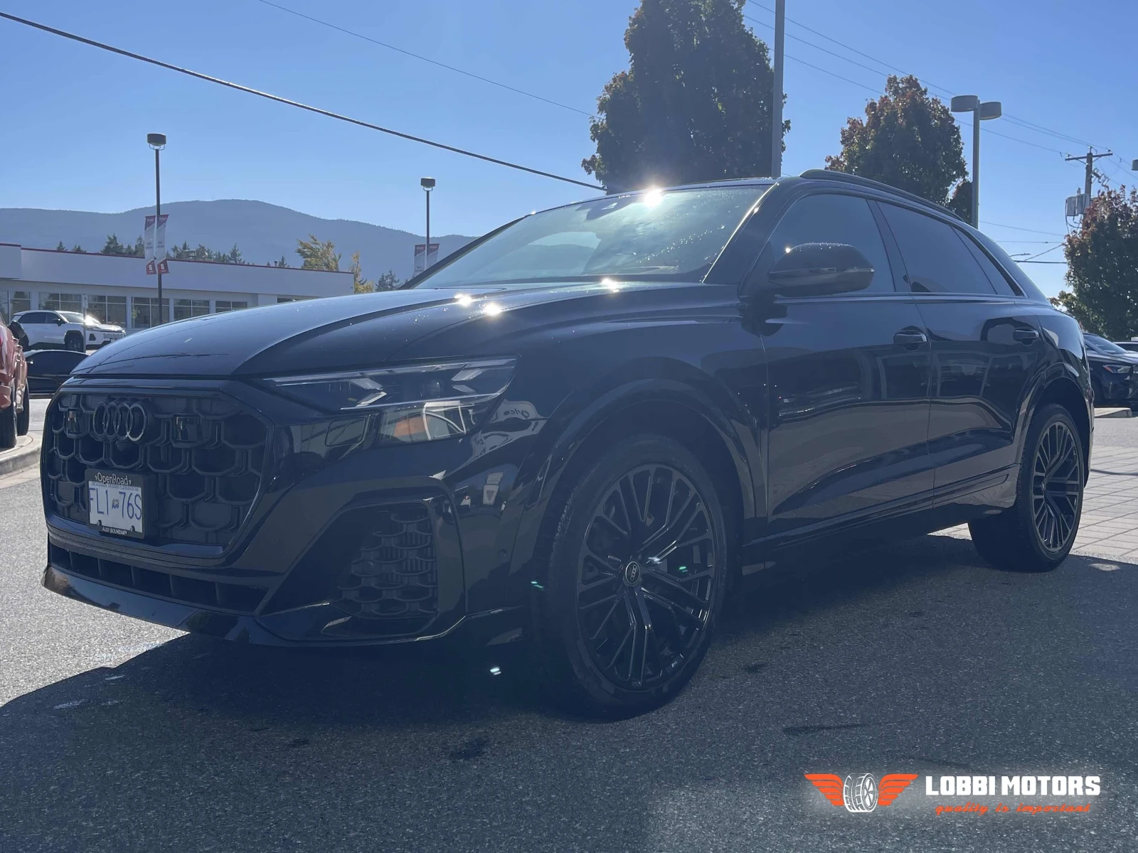 Audi Q8