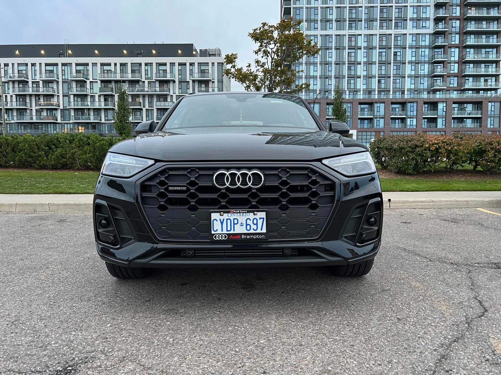 Audi Q5 * Progressiv * CARFAX * ОПЦИЯ ЗА ФИНАНСИРАНЕ, снимка 6 - Автомобили и джипове - 56156311