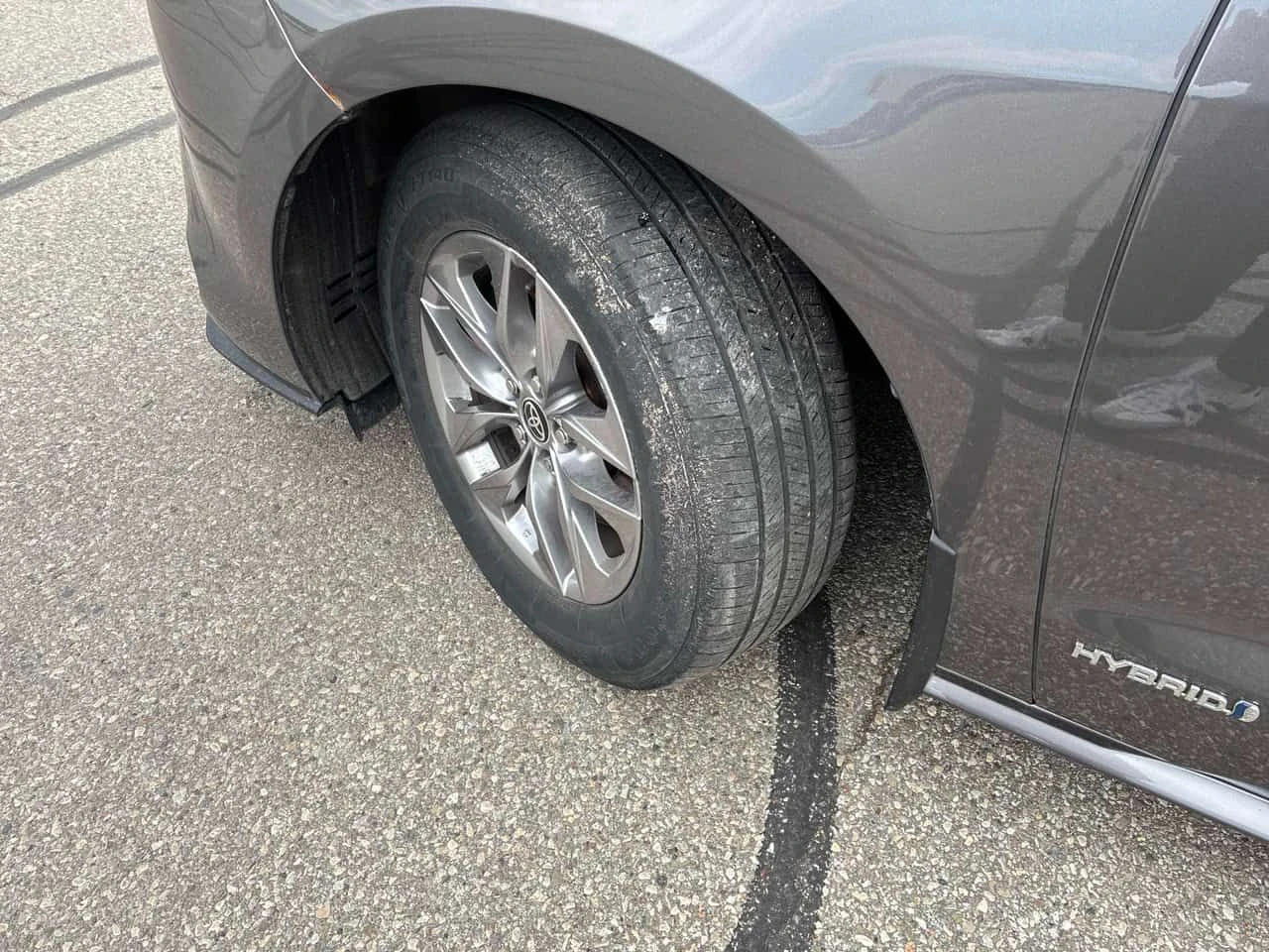 Toyota Sienna * FWD * ���������� ��� ������������ ������*  | Mobile.bg � ����������� 7