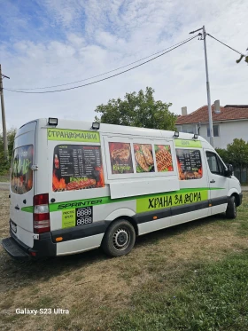Mercedes-Benz Sprinter 313   | Mobile.bg    5
