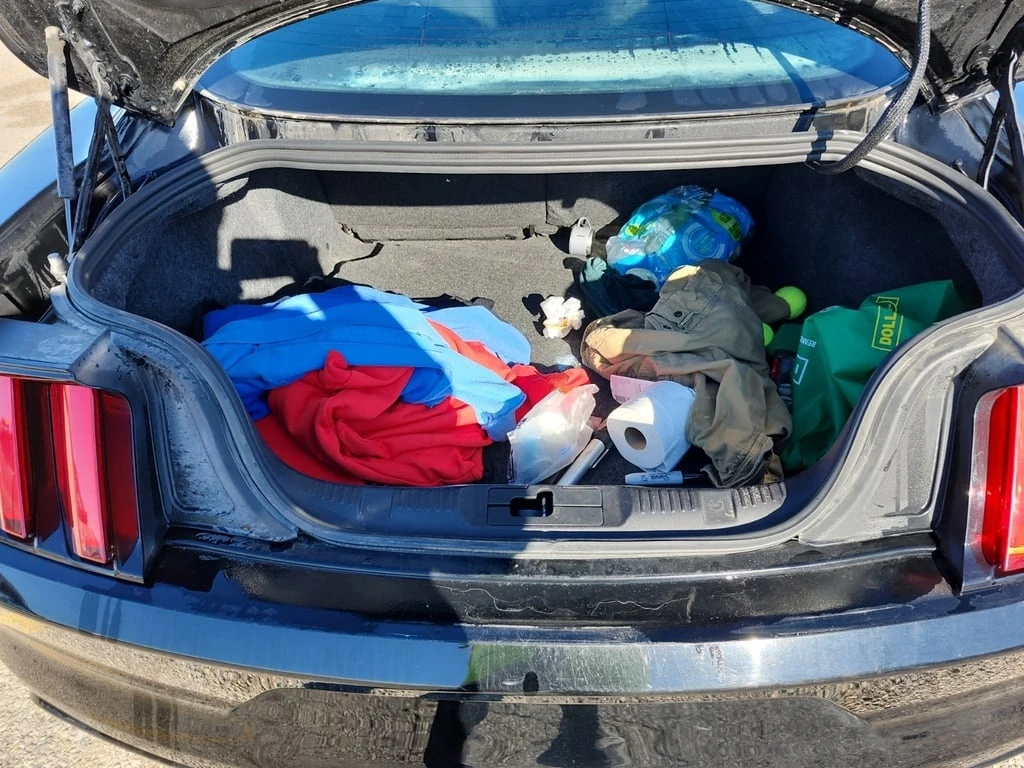 Ford Mustang * ECOBOOST * CARFAX * ���� �� �� | Mobile.bg � ����������� 12