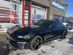 ������ Ford Mustang