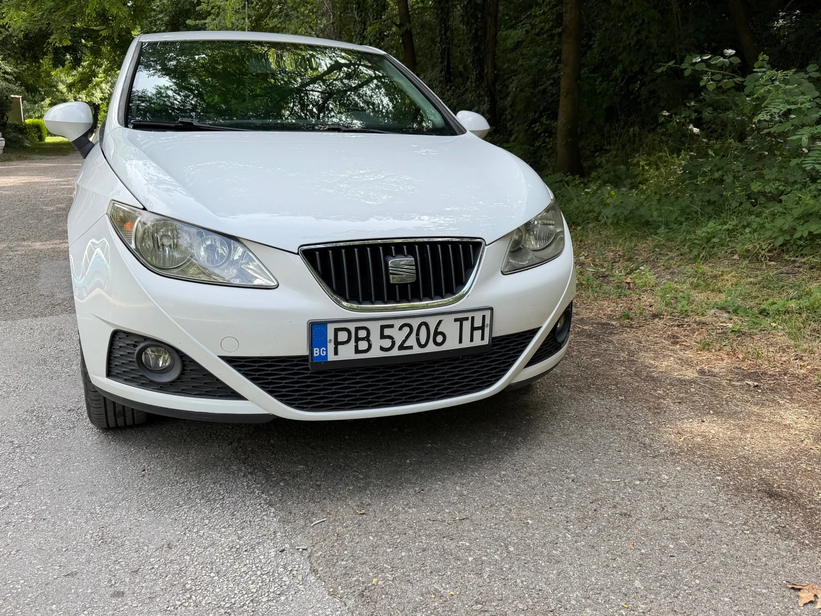 Seat Ibiza