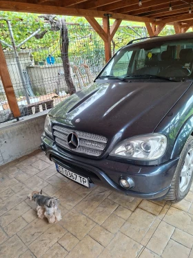 Mercedes-Benz ML 400, снимка 17