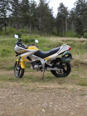  Yamaha Tdr